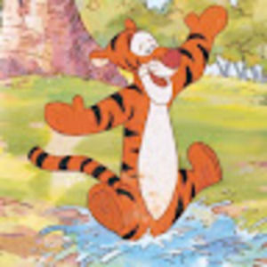 Meet your Posher, Tammy